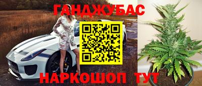 хмурый Тула