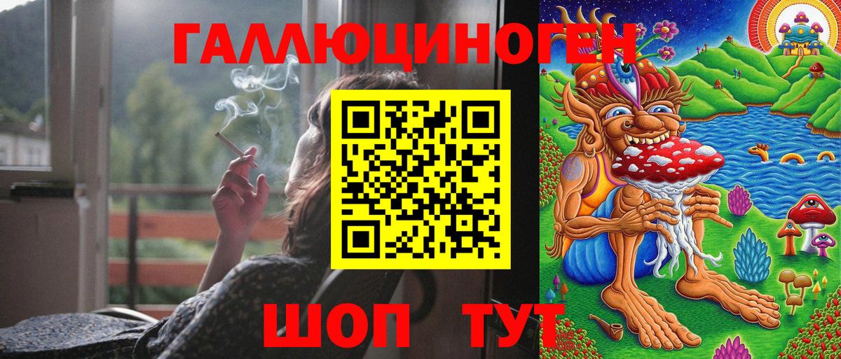 Богданович  Галлюциногенные грибы GOLDEN TEACHER  Вход с VPN 