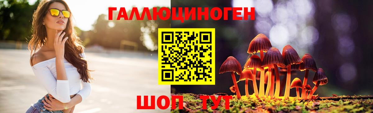 Галлюциногенные грибы мицелий Богданович